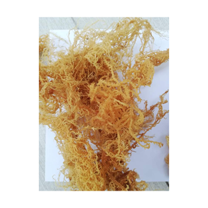 Ready to ship <b>dried</b> sea <b>moss</b> pure clean and high quality Eucheuma Cottonii <b>dried</b> sea <b>moss</b> <b>dried</b> sea <b>moss</b> from Vietnam - Product Image 2