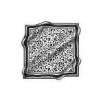 Black and White Leopard Print Silk Square Scarf - Product Image 3