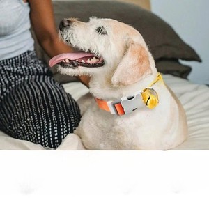 Collier pour chien réglable, léger, simple, en polyester imprimé, sûr, haute durabilité, confortable, doux, avec clochette, pour chiens de taille moyenne et petite - Product Image 5