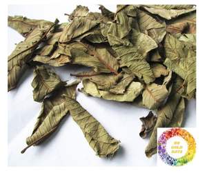 Gran oferta de té de hoja de guayaba Natural puro de alta calidad, venta al por mayor, bebida de hierbas de Vietnam, guayaba seca, suministro a granel Premium, té de hoja de guayaba - Product Image 3