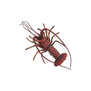 Prix d'usine Homard royal prêt pour la distribution en gros et l'exportation - Product Image 1