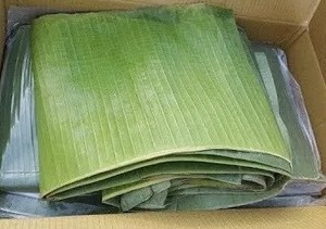 Hoja de plátano congelada IQF Premium para uso en embalaje de alimentos de exportación - Product Image 6