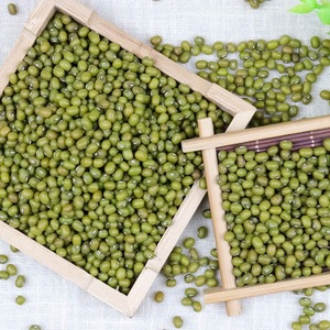 High Quality Organic <b>Green</b> Mung Beans Dried Style Packaged in Bulk - Product Image 6