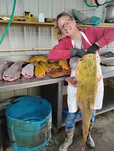 Bagre Congelado IQF de Calidad Superior con 12 Meses de Vida Útil, Fabricante E$T, Venta al por Mayor Bajo Demanda - Product Image 3