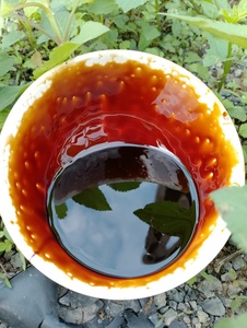 ของเหลวกากน้ำตาลส่งออกชั้นนำในราคาที่เหมาะสม | 100% คุณภาพสูง - Product Image 2