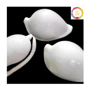 เปลือกหอยไข่สีขาวแบบพรีเมี่ยมขนาด2-3นิ้วขัดเงาสำหรับการทำเครื่องประดับการตกแต่งงานแต่งงานและบ้าน - Product Image 6