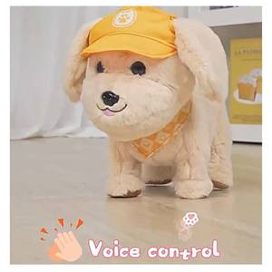 EPT RC interaktif ses kontrolü giydirdiği Bichon Frise akıllı Pet uzaktan oyun Robot köpek oyuncak müzik kayıt yapılmış plastik - Product Image 5