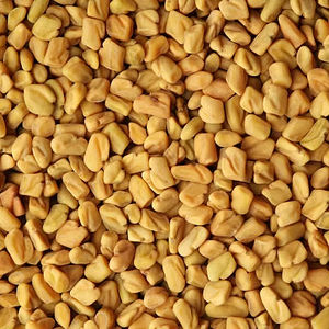 Semillas de Fenogreco Indio Puro RAUTIMPEX INTERNATIONAL 100% Orgánicas Sin Residuos de Pesticidas, Remedio Ayurvédico con Rico Sabor - Product Image 1