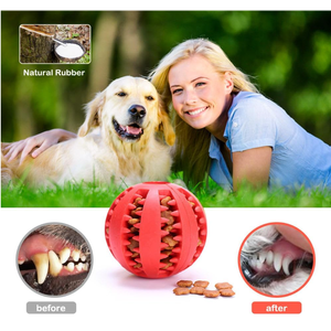 Eco-friendly PET BALL giocattoli interattivi per gatti in Silicone PVC materiali plastici moderno cane giocattolo da masticare per giocare in cartone imballato - Product Image 5