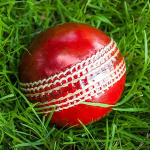 Wholesale Custom Made Cricket Hard Ball New Design with Lightweight Soft Material Leather High Visibility - Product Image 4