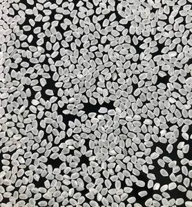 Vilaconic Vietnamita Japonica Arroz aromático de grano corto Textura dura Grado superior seco para cocina de sushi-Contacto + 84 813 623 970 - Product Image 6