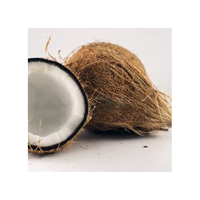 Noix de coco fraîche, Semi-croûte, prête à l'exportation, bon marché, noix de coco mature