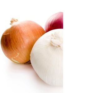 Hành Tươi Màu Vàng Sáng Giá Theo Hành Tươi Màu Đỏ Và Vàng - Product Image 1