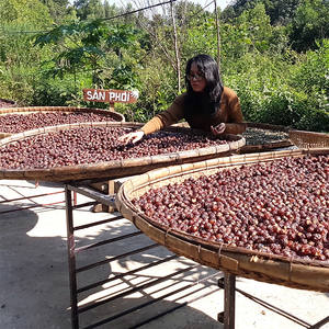 Bayas de Jabón Secas Enteras Orgánicas de Vietnam Sin Semillas con Empaque OEM en Bolsa de Lona, el Color se Intensifica con el Tiempo - Product Image 4