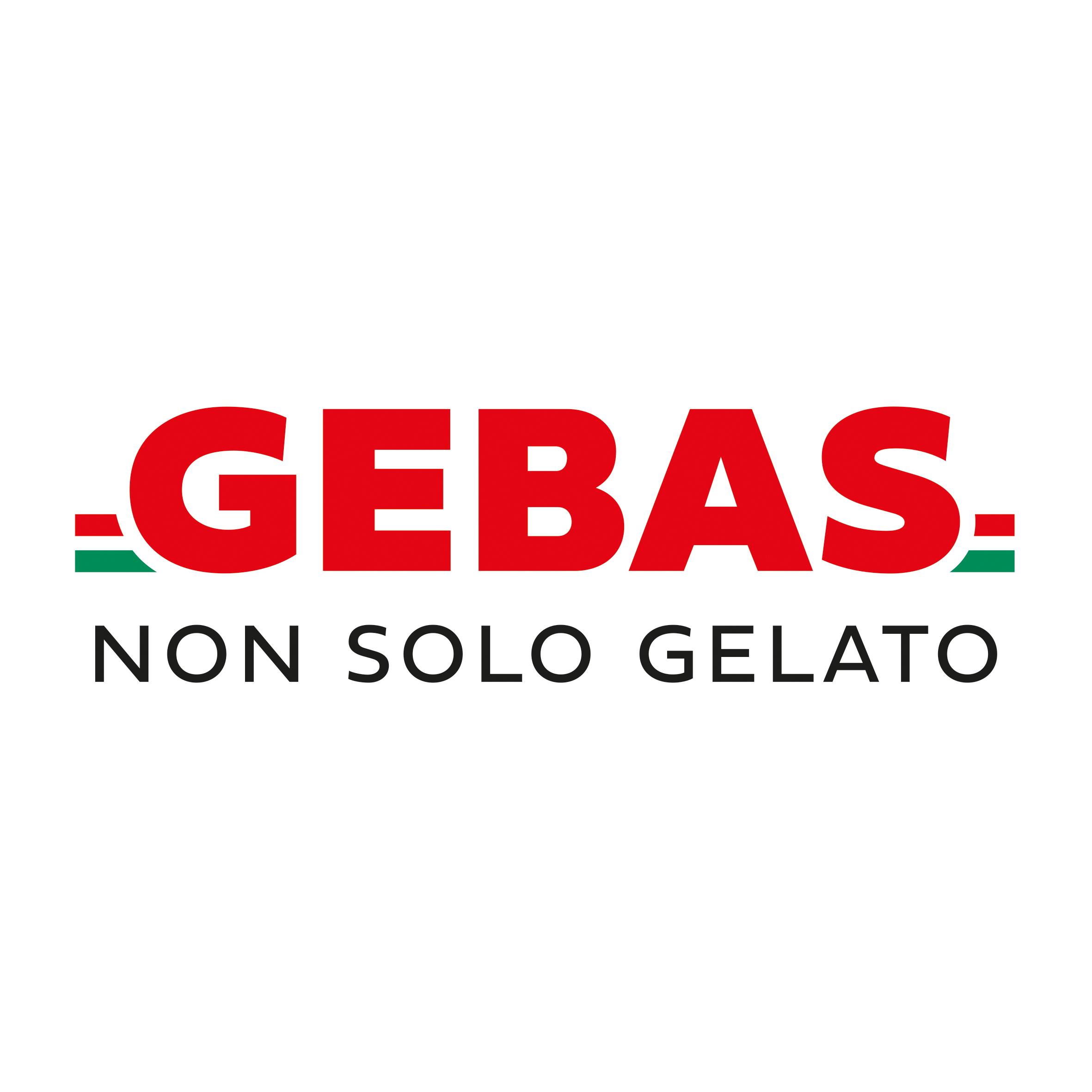 Gebas GmbH logo