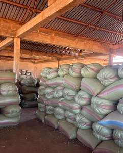 Premium Soybeans for Global Markets for <b>Animal</b> Feed <b>Oil</b> & Food Processing Available in Fresh and Dried Styles - Product Image 6