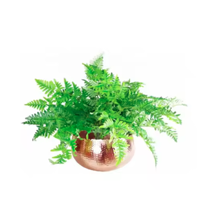 ที่ปลูกต้นไม้ทำจากโลหะสีทองสำหรับตกแต่งบ้านและสวนอลูมิเนียมความต้องการสูง - Product Image 6