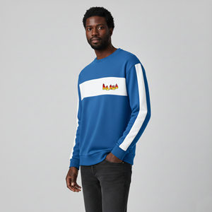 Sudaderas Casuales de Invierno para Hombre al por Mayor, 100% Algodón, Tallas Grandes, Lisas, de 2 Tonos, con Logotipo DTF Personalizado Bordado, Estilo Oversize - Product Image 1