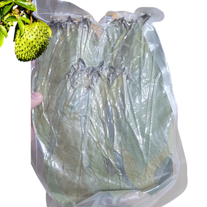 Bolsa de Té de Hojas Secas de Guanábana con Polvo de Hoja de Guanábana, Precio de Fábrica, Bolsa con Cierre, Envasado al Vacío - Product Image 1