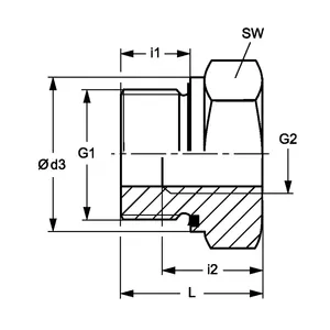 Conexión Hidráulica BSP Tipo PFX, Recubierta de Zinc y Níquel, Reducción, Conexión Genérica RIK RIL NW - Product Image 2