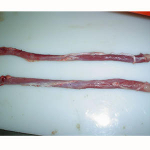 100% porc congelé conservé nature fraîche viande de porc couleur propre oesophage de porc congelé ORIGINE disponible pour l'expédition vers n'importe quel PORT - Product Image 3