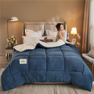 Nhà Máy Bán Hàng Trực Tiếp Dày Mùa Đông Ấm Áp Chăn Cừu Nhung Chăn Fluffy <span class=keywords><strong>Comforter</strong></span> Mùa Đông Tấm Ga Giường Thiết Lập - Product Image 1