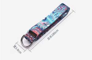 Équipement d'exercice Nouveau Multi Couleurs Ceinture Réglable Sport Yoga Stretch Strap D Anneau Ceinture Gym Ceinture - Product Image 6