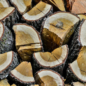 Leña de roble de alta calidad al por mayor Leña de roble real, madera de roble lista para estufa y divisor de leña - Product Image 2