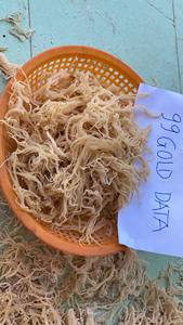 Mousse de mer séchée Eucheuma cottonii séchée Wildcrafted raw superfood Irish Moss Algues naturelles GCAP VN Manufacturer - Product Image 2
