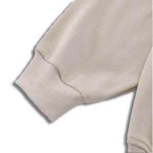 OEM personalizar Puff pantalla impresa bordado logotipo diseño polar algodón francés Terry Color sólido pulóver sudaderas con capucha sudadera - Product Image 5