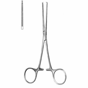 INTESTINOS Y ESTÓMAGO - Product Image 1