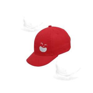Gorra de béisbol de dos tonos al por mayor, tipo de patrón personalizado aplicable para embalaje exterior en cartón, fabricante de productos de Vietnam - Product Image 2