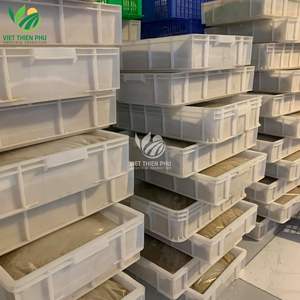 น้ำเสาวรสแช่แข็งแบบไม่มีเมล็ด ขายส่ง น้ำผลไม้สด แบบก้อน 100% ธรรมชาติ คุณภาพเยี่ยมจากเวียดนาม - Product Image 4