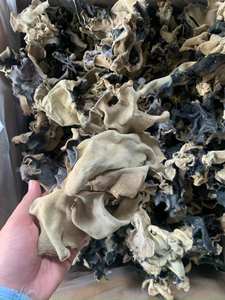 Champignon d'oreille en bois séché en gros pour l'exportation/oreille d'arbre sec noir pour l'exportation du Vietnam Mme Lily + 84 906927736 - Product Image 5