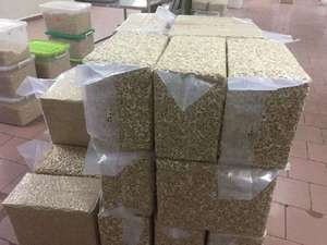 Anacardos al por mayor de la mejor calidad a un precio asequible - Product Image 4