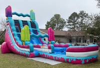 Toboggan aquatique gonflable double piste sur le thème du sport, en PVC, certifié CE, facile à installer, idéal pour la location et les fêtes