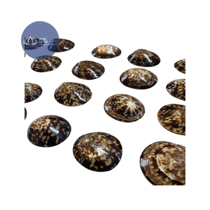 [VENTA EXITOSA] |   Suministro de Escamas de Concha Azul Triturada |   Material para Arte en Resina, Posavasos de Terrazo, Manualidades DIY, Vietnam - Product Image 2