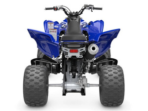 Vélo électrique sport automatique haute performance 2026 Raptors 700R, puissance 1001-2000W, neuf, vente aux enchères - Product Image 6