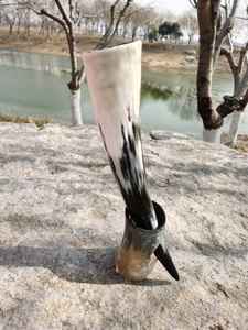 Corne à boire Viking naturelle polie avec support pour Ale et Mead - Product Image 2