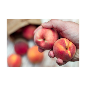 Melocotones orgánicos salvajes superventas, fruta fresca de alta calidad, exportación, fábrica, venta de fruta de hueso jugosa dulce, Francia madura - Product Image 5