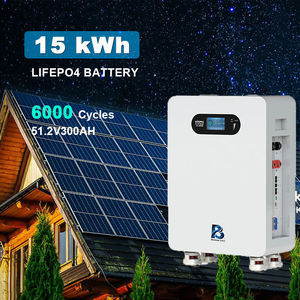맞춤형 48V 300Ah LiFePO4 고체 상태 리튬 배터리 팩 IP65 15kWh 가정용 저장 백업 10년 보증 - Product Image 2