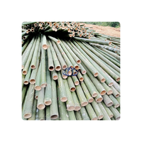 VENTE EN GROS POLE EN BAMBOU VERT CUBES EN BAMBOU PETIT ET GRAND DIAMÈTRE POCHE EN BAMBOU DE GRANDE QUANTITÉ DU VIETNAM