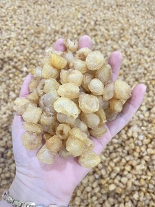 Longane séché du Vietnam, fruit tropical naturel séché au soleil pour la boulangerie, les bonbons, les boissons, les tisanes et l'utilisation culinaire internationale - Product Image 2