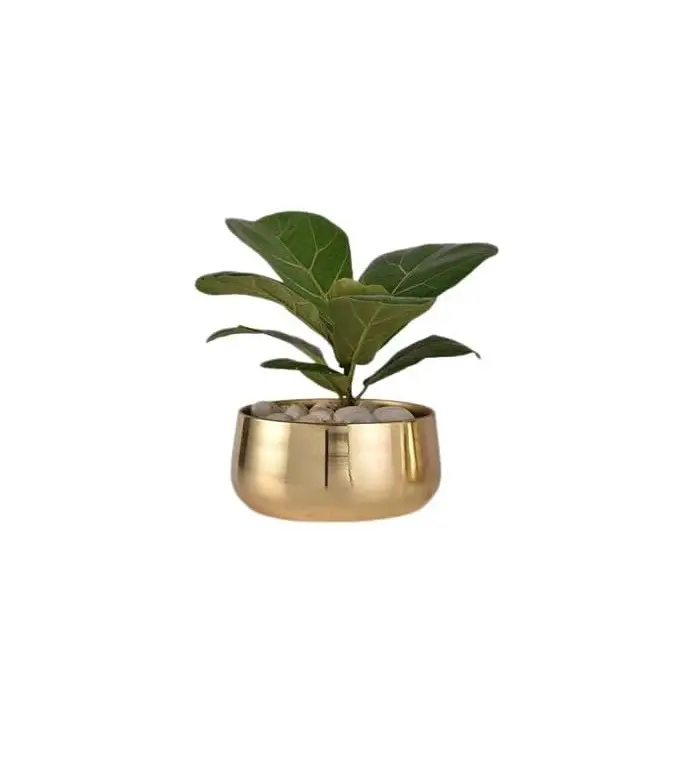 Доступная цена, современный горшок ручной работы, металлическая блестящая латунная ваза для помещений, роскошный горшок для растений
