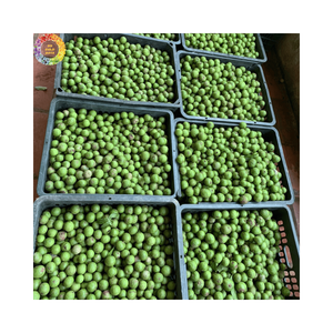 Dracontomelon Congelado Premium IQF, Fruta Verde Ácida, Origen Vietnam, Ingredientes Alimenticios Naturales de Alta Calidad al por Mayor para Exportación - Product Image 5