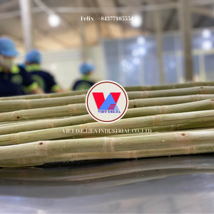 NATURAL CONGELADO BASADO EN PLANTAS DE CAÑA DE AZÚCAR SOPORTE BIENESTAR ETIQUETA LIMPIA PRODUCTO - Product Image 3