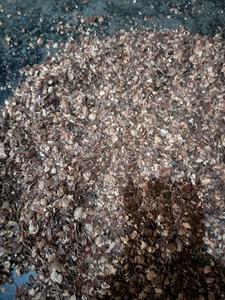 Pellets de coque de noix de cajou - Vente en gros de coques de noix de cajou brunes et rouges pour le bronzage, origine Vietnam - Product Image 4