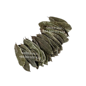 Té crudo suelto saludable Hoja de soursoup de Vietnam Hojas de soursoup secas silvestres para exportación de té a granel desde Vietnam - Product Image 1
