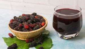 Concentrado de Jarabe de Fruta de Grado de Exportación, Suministro Directo de Fábrica para Marcas de Bebidas y Distribuidores - Product Image 5