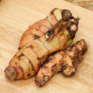 Racines de galanga frais de qualité supérieure au meilleur prix racine de gingembre galanga thai pour la vente en gros - Product Image 1